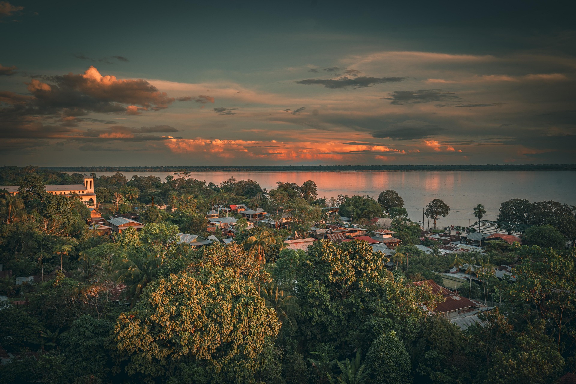 Global reforestation programs by OPISAC