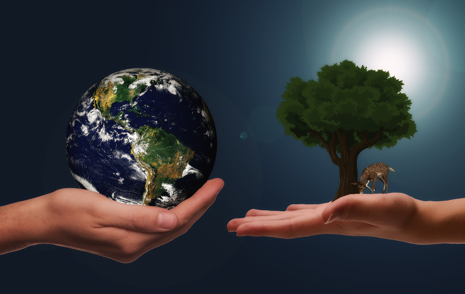 Systemically Sustainable Human Growth and Development