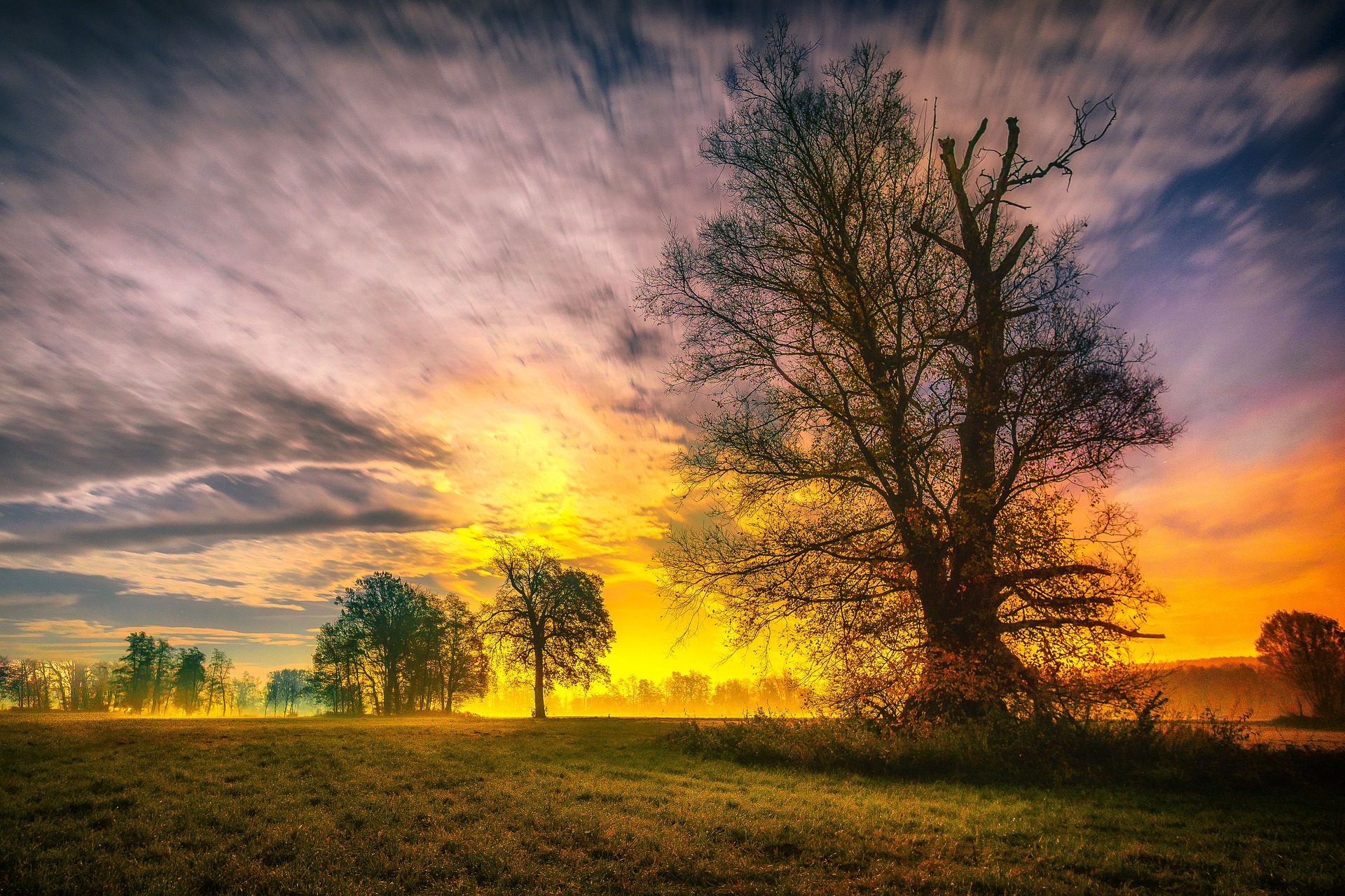 Understanding Environmental Sustainability