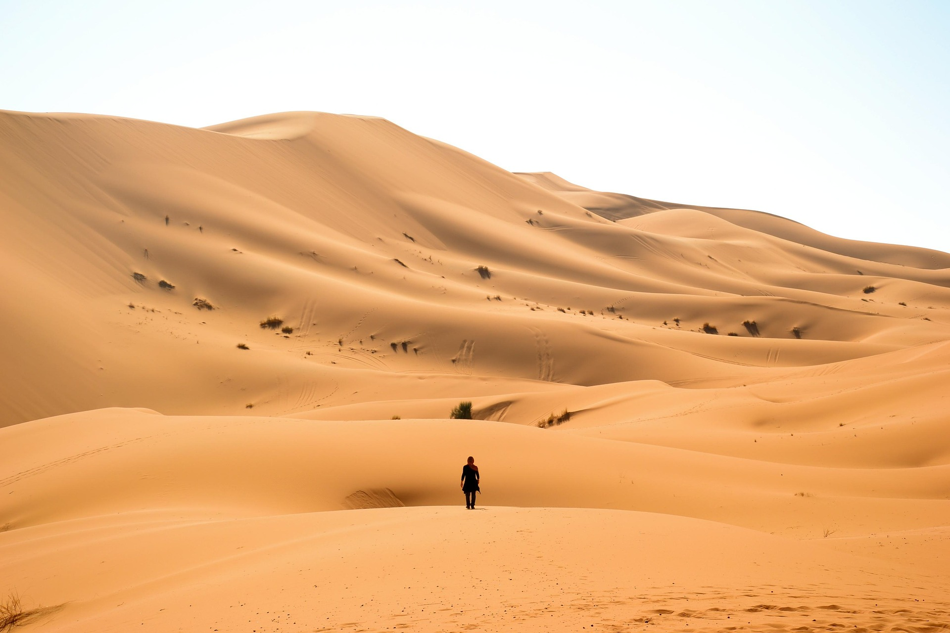 Great Green Wall of Africa