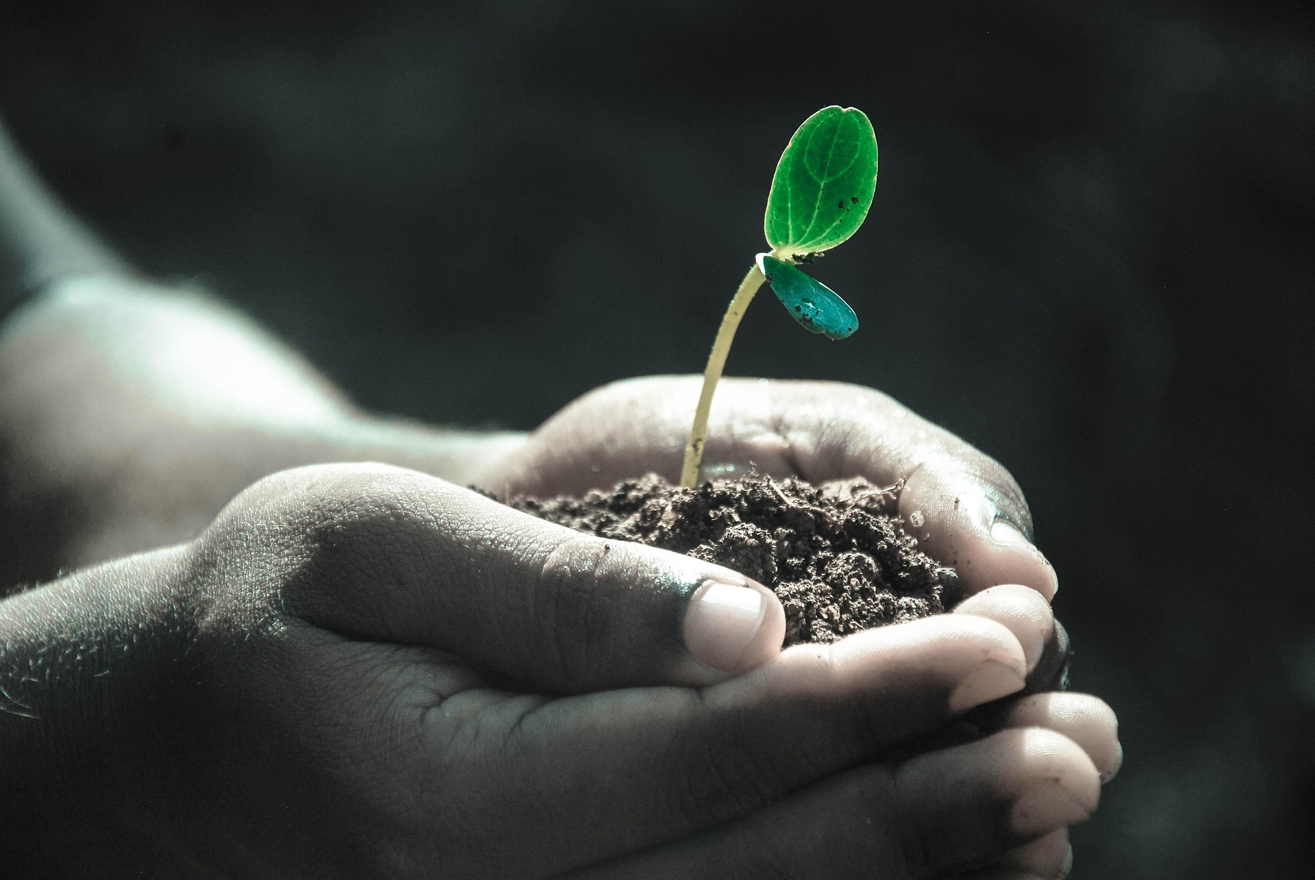 Human Growth and Development