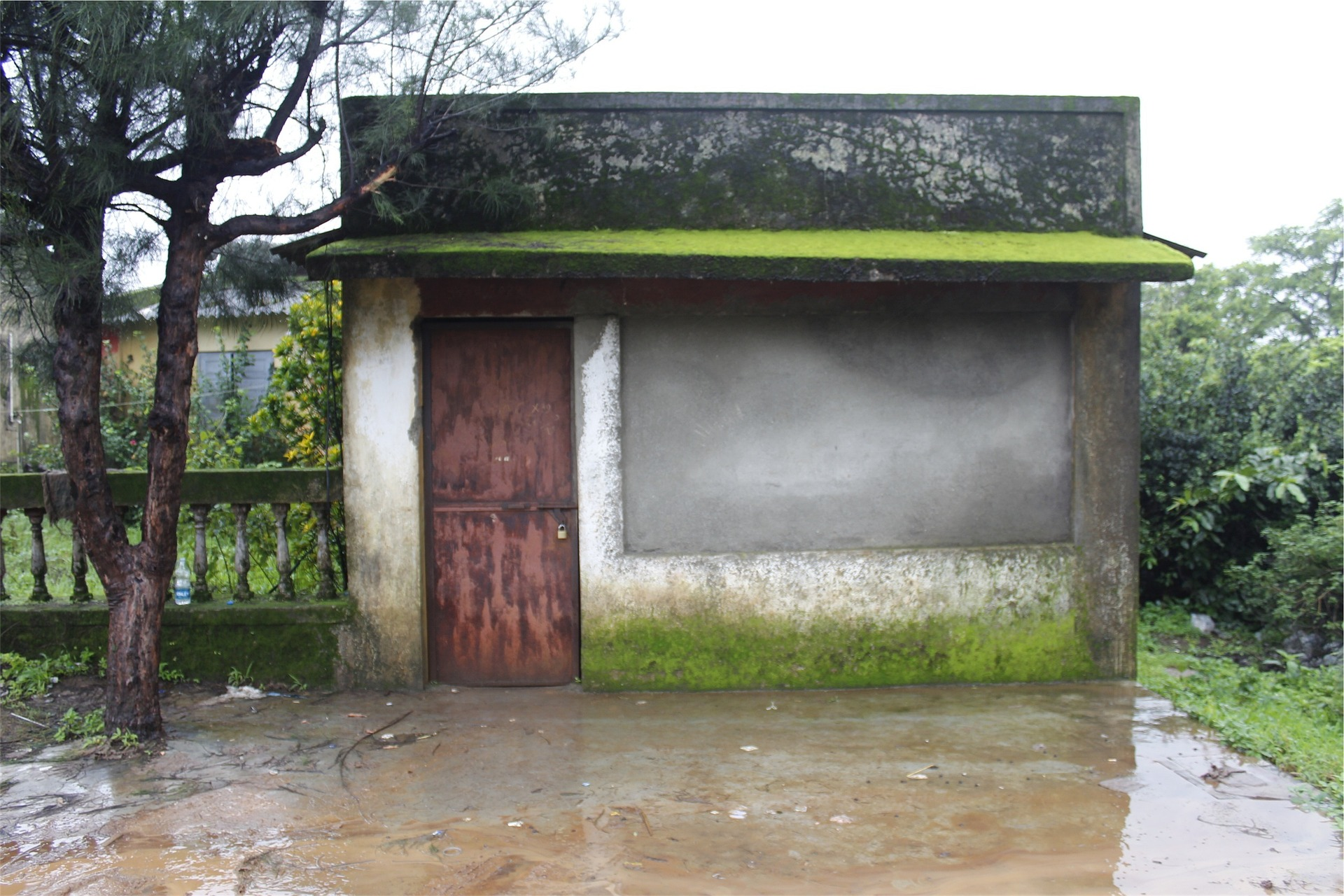Green Economy Transition Philippines – UNEP