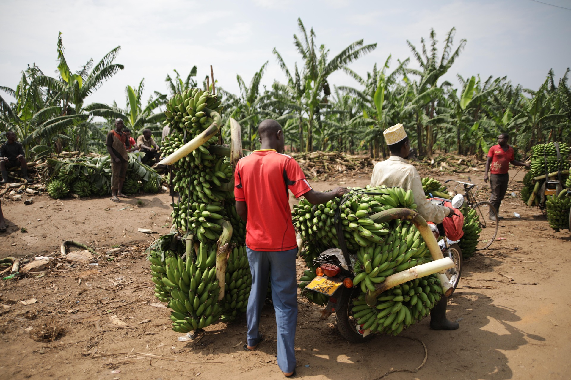 Barter, Co-Ops, and Poverty Eradication
