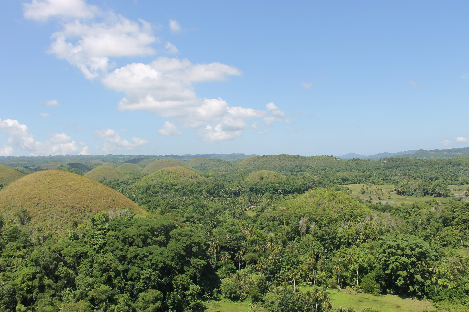 OPISAC Reforestation Initiatives Part 2