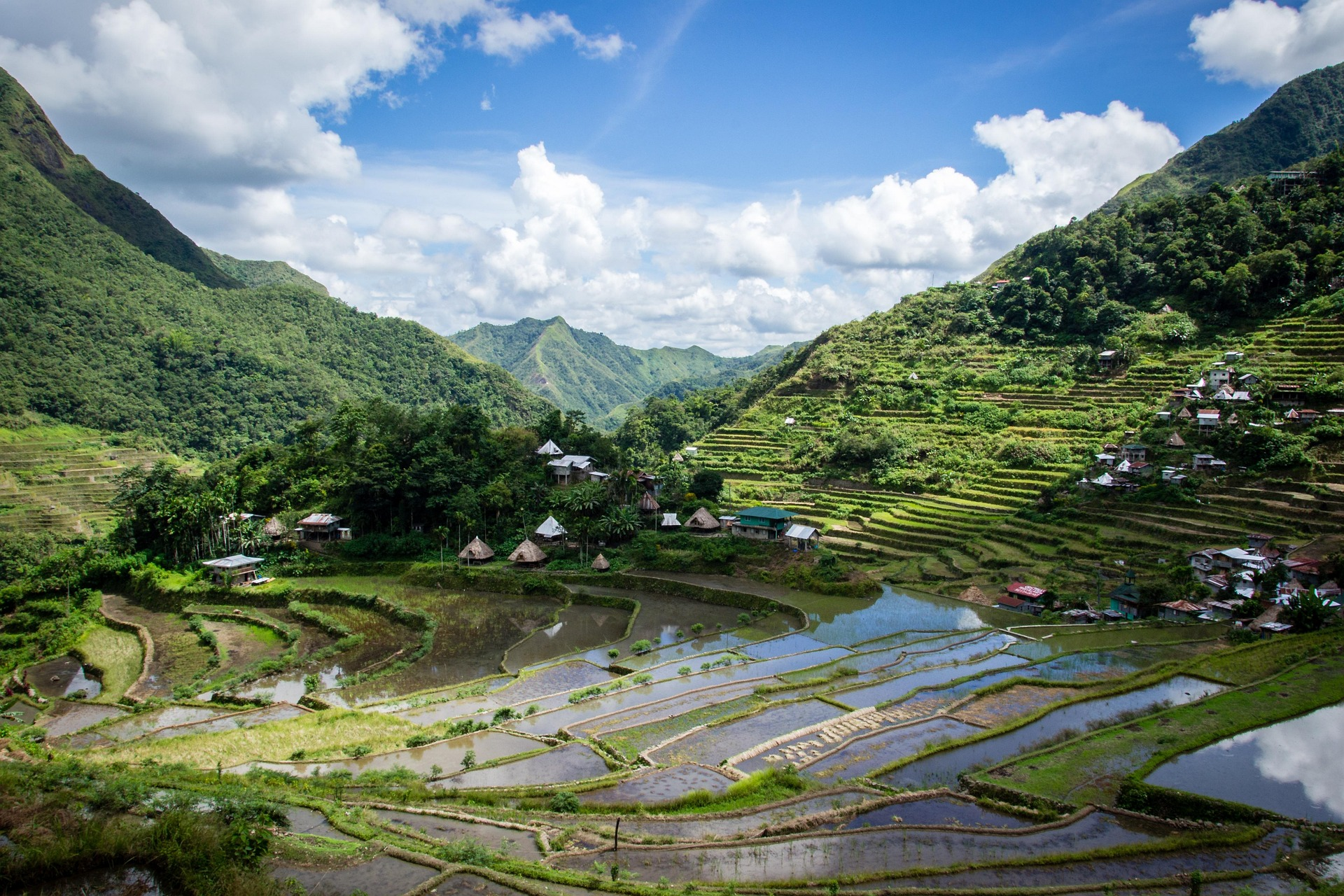Reforestation in the Philippines – Challenges and Solutions – Part 1