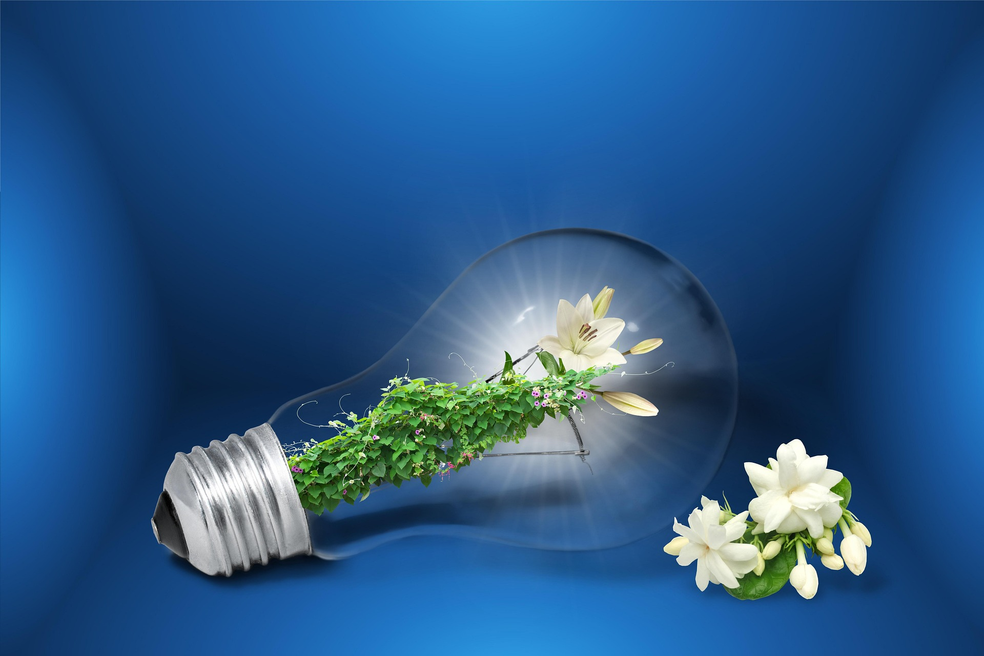 Philippine Strategy for Sustainable Development